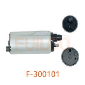 F-300101